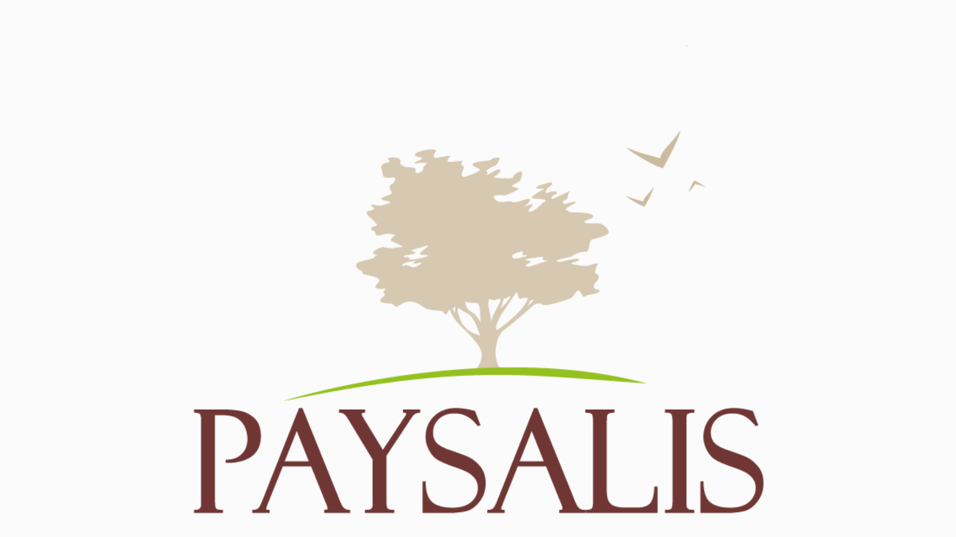 PAYSALIS.png (127 KB)