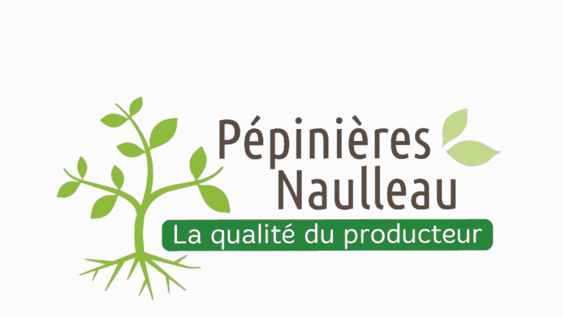 PEPINIERE NAULLEAU.png (472 KB)
